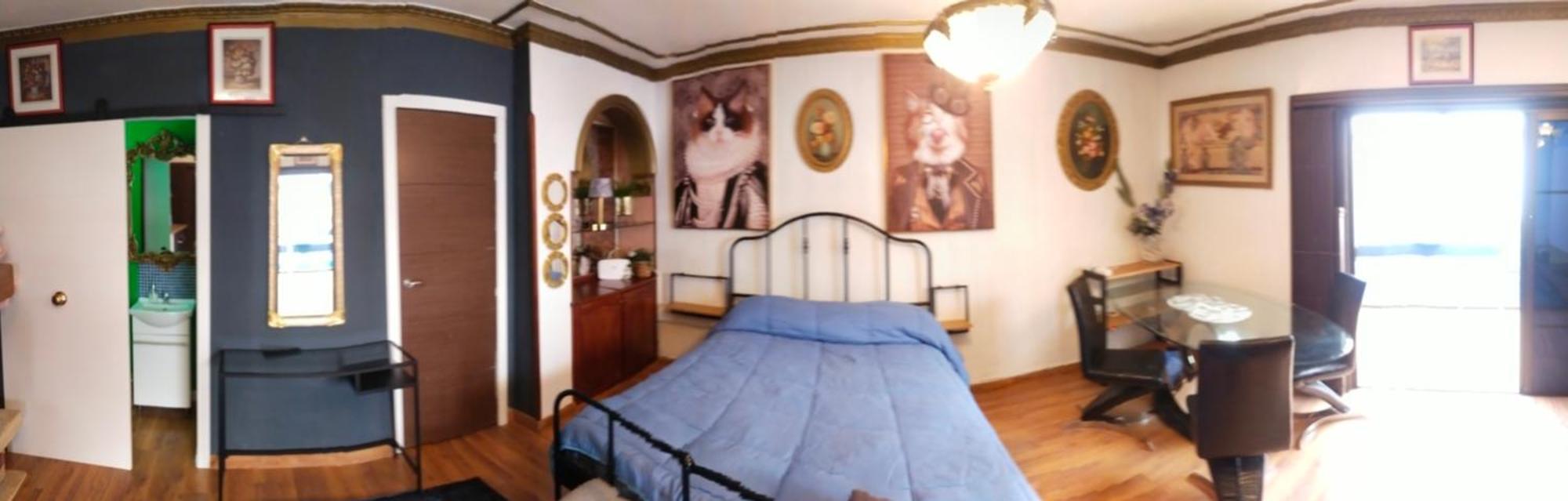 Guajara Loft-Balcon Apartment ลาลากูนา ห้อง รูปภาพ